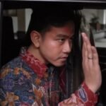 Fufufafa dan wakil presiden